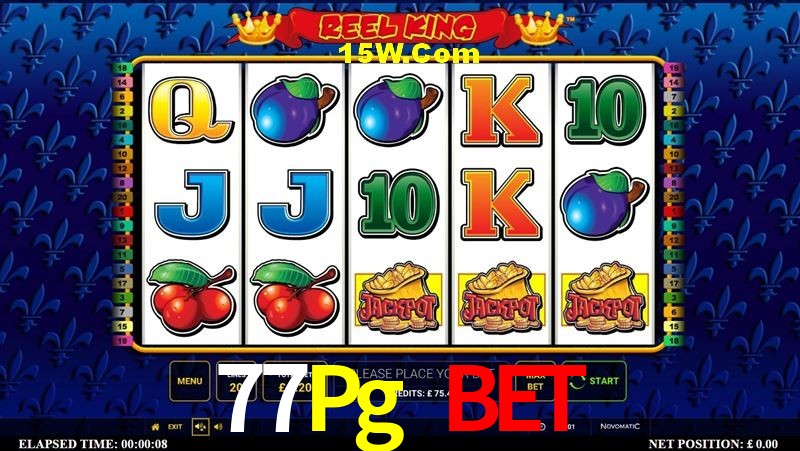 Security Systems 77Pg Bet